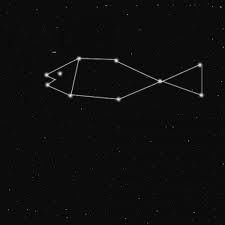 fish constellation