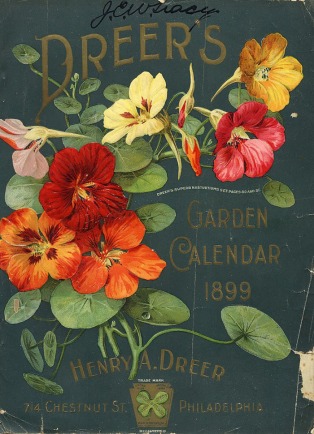 vintage-packaging-flower-seed-packets-from-thes_icnfe_4