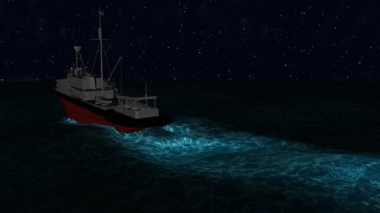 Bioluminescence-at-sea-23409