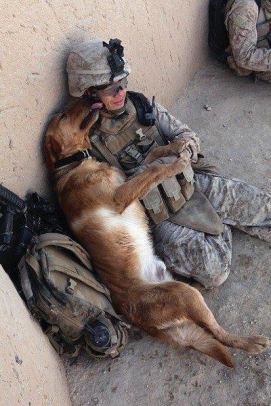 dog soldier